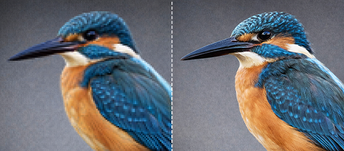 Label Printing Description